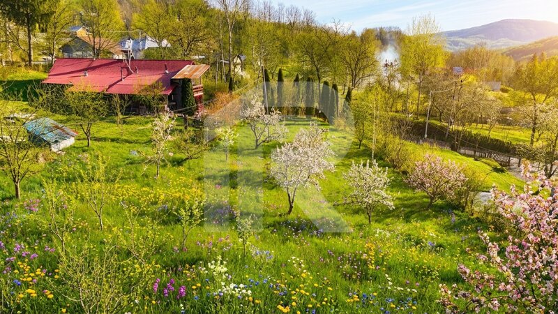 Slanic Prahova Teren intravilan