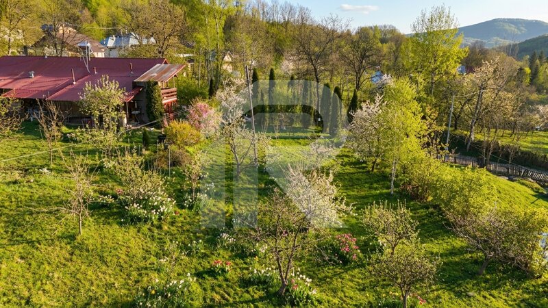 Slanic Prahova Teren intravilan