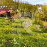 Slanic Prahova Teren intravilan